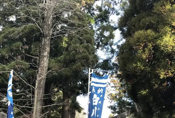白川水源の写真・動画_image_338396