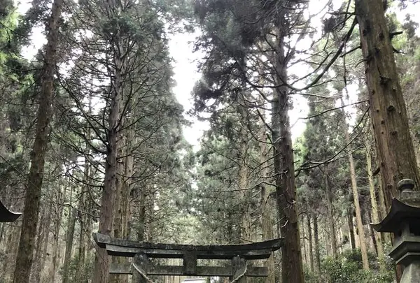 上色見熊野座神社の写真・動画_image_338403