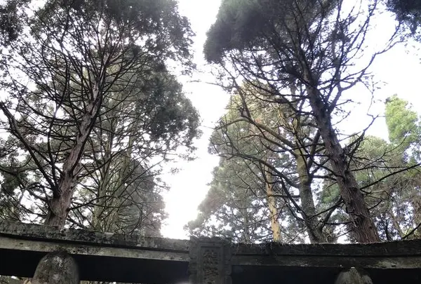 上色見熊野座神社の写真・動画_image_338404