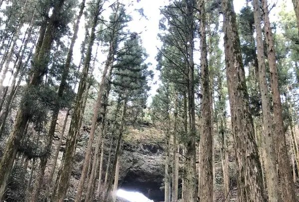 上色見熊野座神社の写真・動画_image_338405