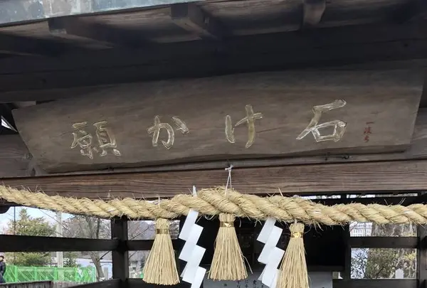 阿蘇神社の写真・動画_image_338428