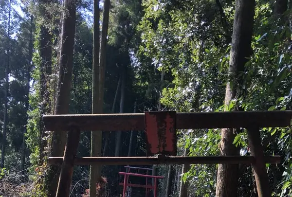 三凩稲荷神社の写真・動画_image_338431