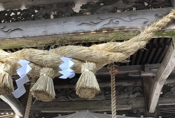 国造神社の写真・動画_image_338437