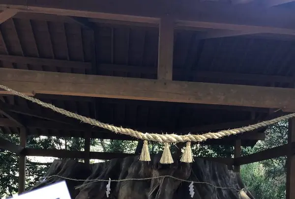 国造神社の写真・動画_image_338438
