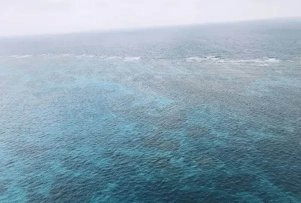 三角点の写真・動画_image_338957