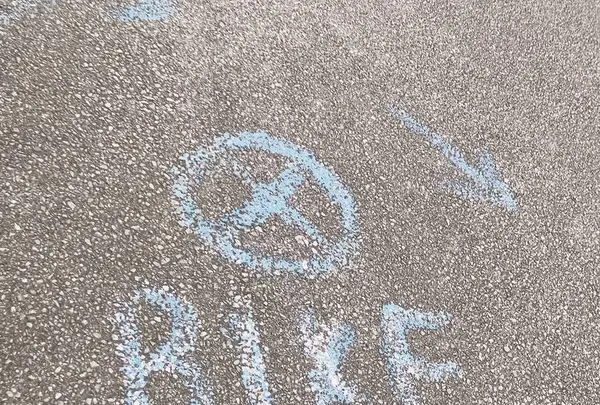 三角点の写真・動画_image_338958