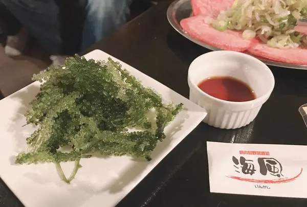 焼肉いんかじ（海風）の写真・動画_image_338971