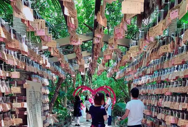 青島神社の写真・動画_image_339071