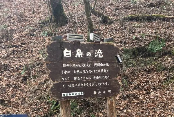 白糸の滝の写真・動画_image_339132