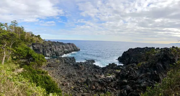 城ヶ崎海岸の写真・動画_image_340224