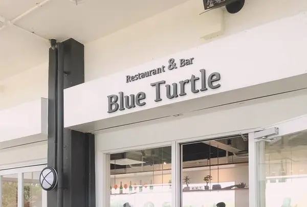 ブルータートル[Blue Turtle]の写真・動画_image_340362