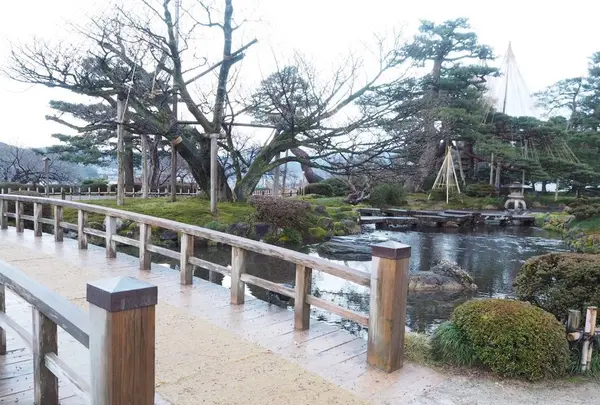 兼六園の写真・動画_image_340548