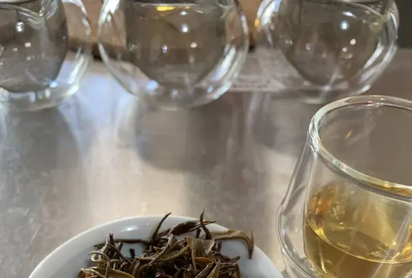 金川製茶の写真・動画_image_340721