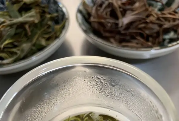 金川製茶の写真・動画_image_340723