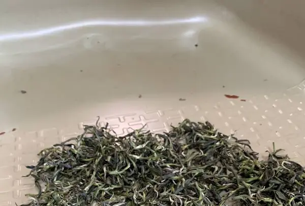 金川製茶の写真・動画_image_340726