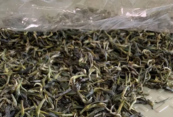 金川製茶の写真・動画_image_340727