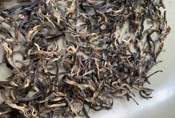 金川製茶の写真・動画_image_340731