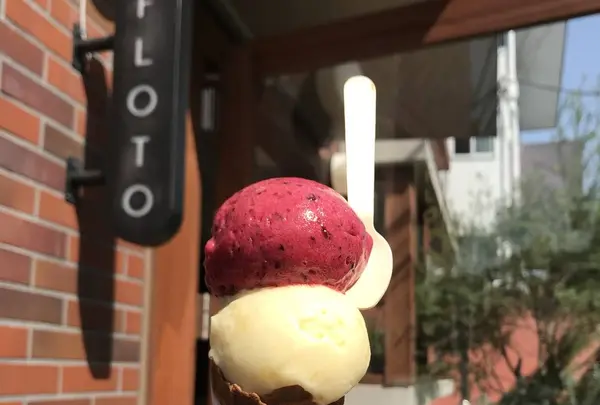 FLOTOの写真・動画_image_341122