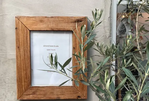 almond hostel & cafeの写真・動画_image_341149