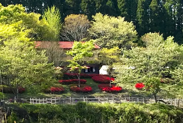 庸山窯の写真・動画_image_341158