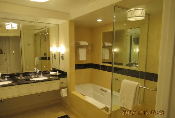 The Palazzo at The Venetian（パラッツォ）の写真・動画_image_341749