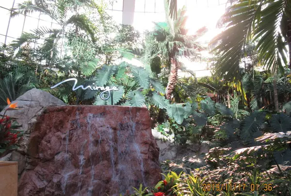 The Mirage（ミラージュ）の写真・動画_image_341756