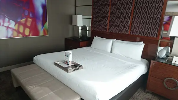 MGM Grand Las Vegas（MGMグランド）の写真・動画_image_341768