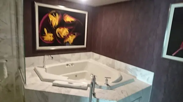 MGM Grand Las Vegas（MGMグランド）の写真・動画_image_341771