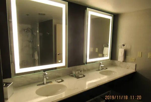 MGM Grand Las Vegas（MGMグランド）の写真・動画_image_341775