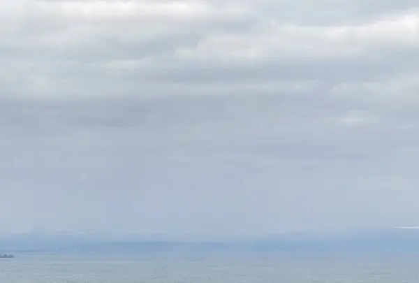 彦根城の写真・動画_image_341827