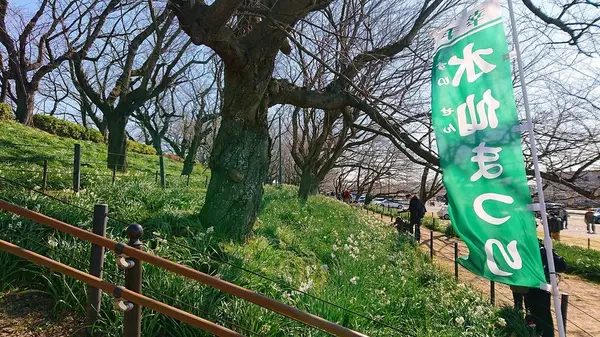 権現堂公園の写真・動画_image_341971
