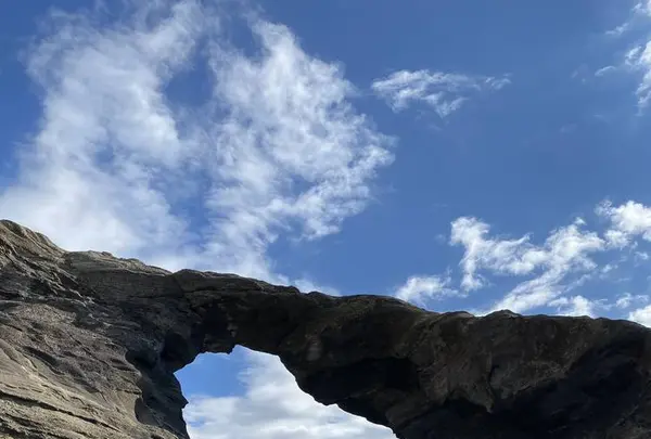 城ヶ島 馬の背洞門の写真・動画_image_342306