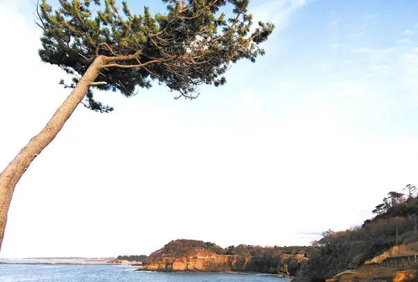 加佐の岬の写真・動画_image_342394