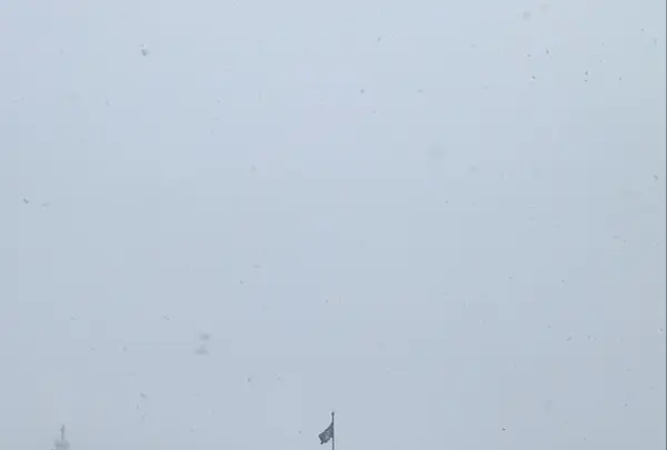 北海道庁旧本庁舎(赤レンガ庁舎)の写真・動画_image_342987