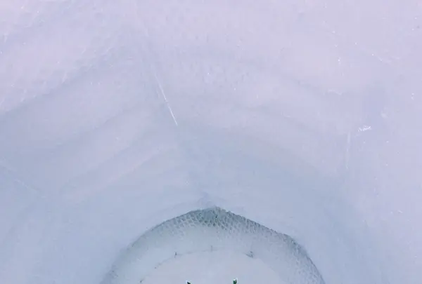 千歳・支笏湖氷濤まつりの写真・動画_image_342992