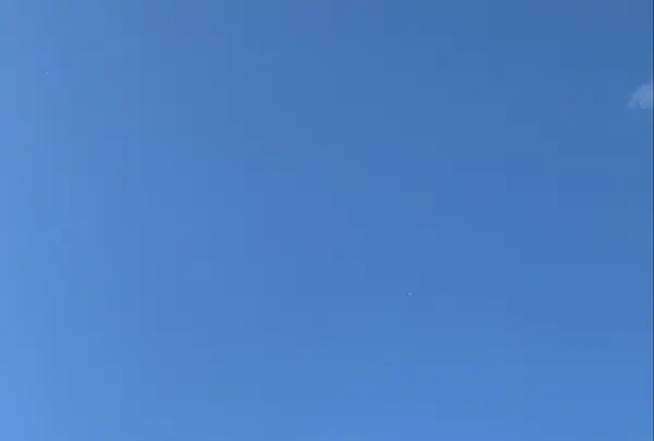 さっぽろ雪まつりの写真・動画_image_342996