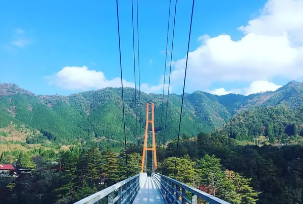 すきむらんど大つり橋の写真・動画_image_343196