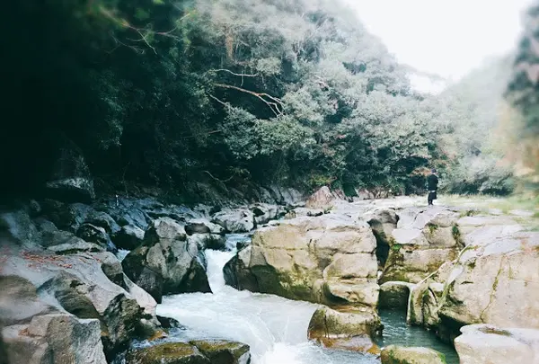 三之宮峡の写真・動画_image_343205