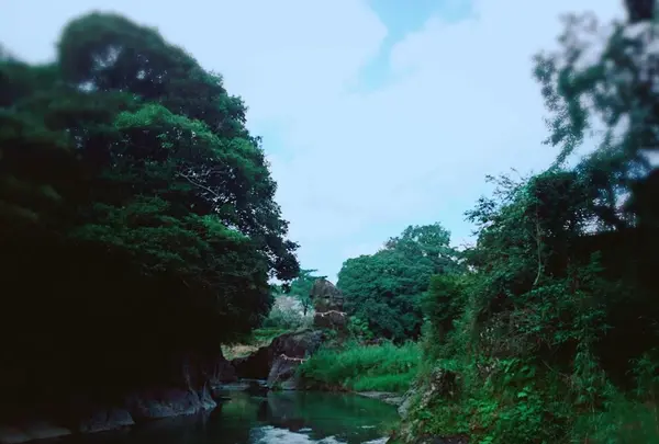 陰陽石の写真・動画_image_343209