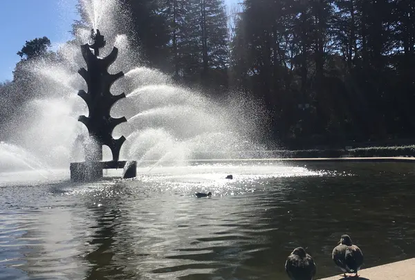 世田谷公園の写真・動画_image_343233