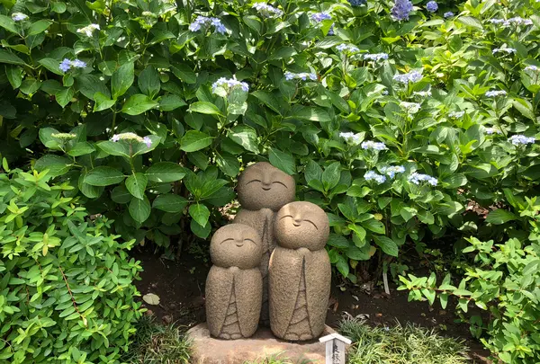 長谷寺の写真・動画_image_343254
