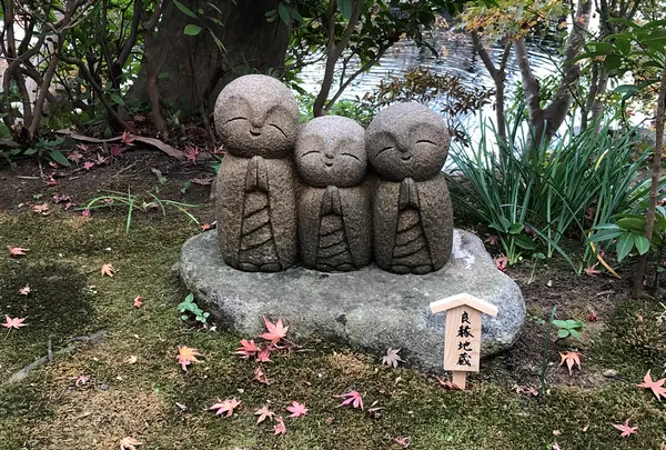 長谷寺の写真・動画_image_343255