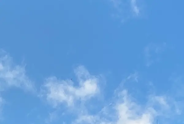 びわ湖バレイの写真・動画_image_343282