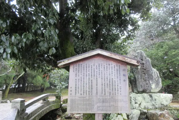 法輪寺の写真・動画_image_343383