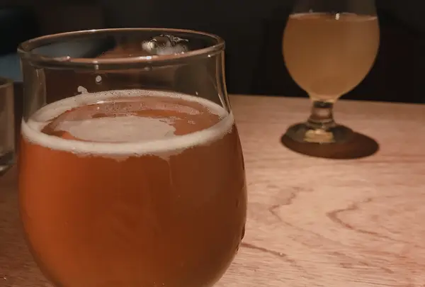 半地下(HANTICA）の写真・動画_image_343629