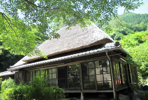 すきむらんど大つり橋の写真・動画_image_343634