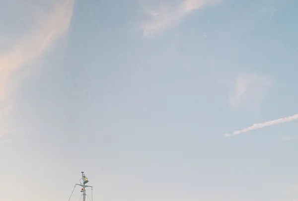 直島の写真・動画_image_343703