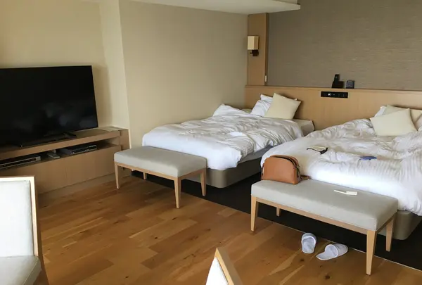 HOTEL MICURAS（ホテル ミクラス）の写真・動画_image_343911