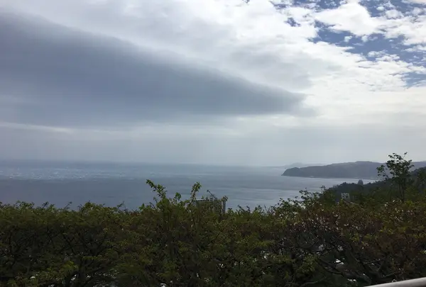 ＭＯＡ美術館（バス）の写真・動画_image_343956