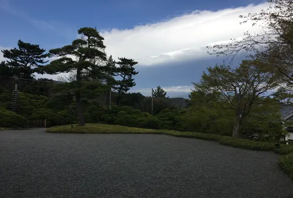 ＭＯＡ美術館（バス）の写真・動画_image_343958